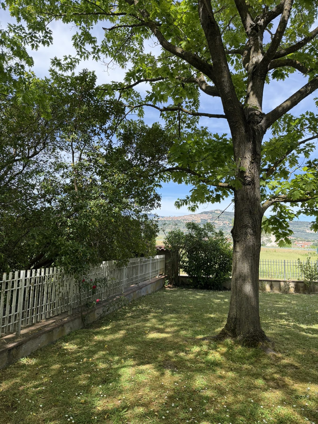 Giardino di Cornici di Verde